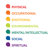 7 Dimensions of Wellness